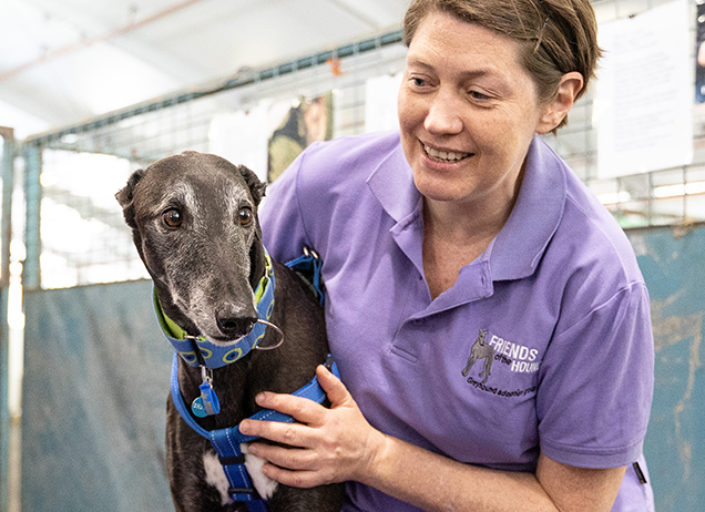 friends of the hound at rspca big adopt out 2019